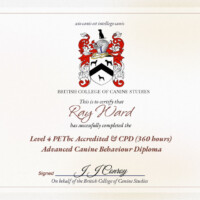 Ray Ward Dog Behaviourist level 4 PETbc accredited