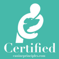 Ray Ward Dog Behaviourist caning principle